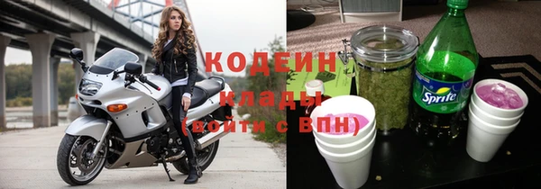 шишки Бородино