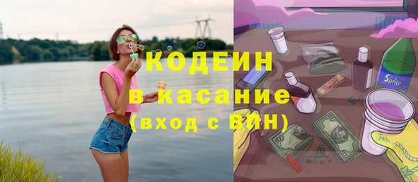 шишки Бородино
