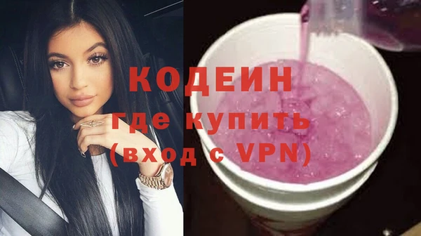 шишки Бородино