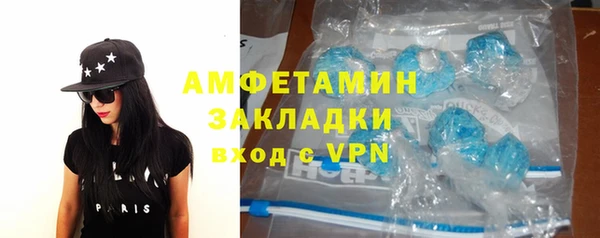 шишки Бородино