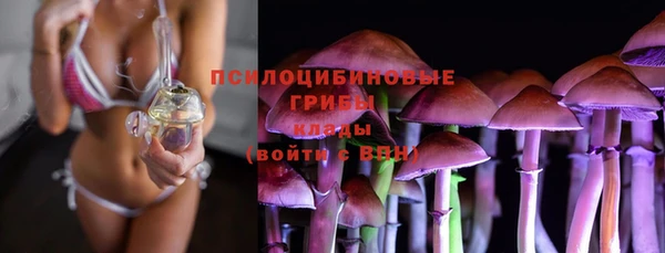 шишки Бородино