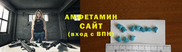 шишки Бородино