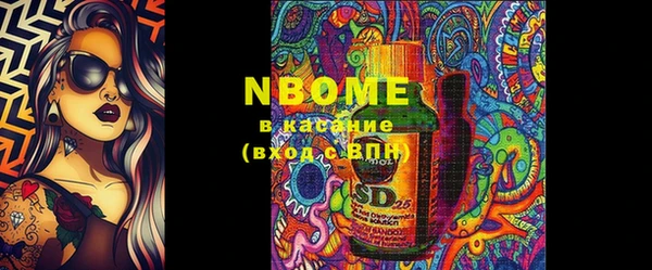 шишки Бородино