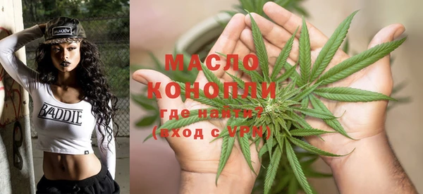 шишки Бородино