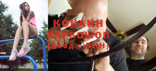 шишки Бородино